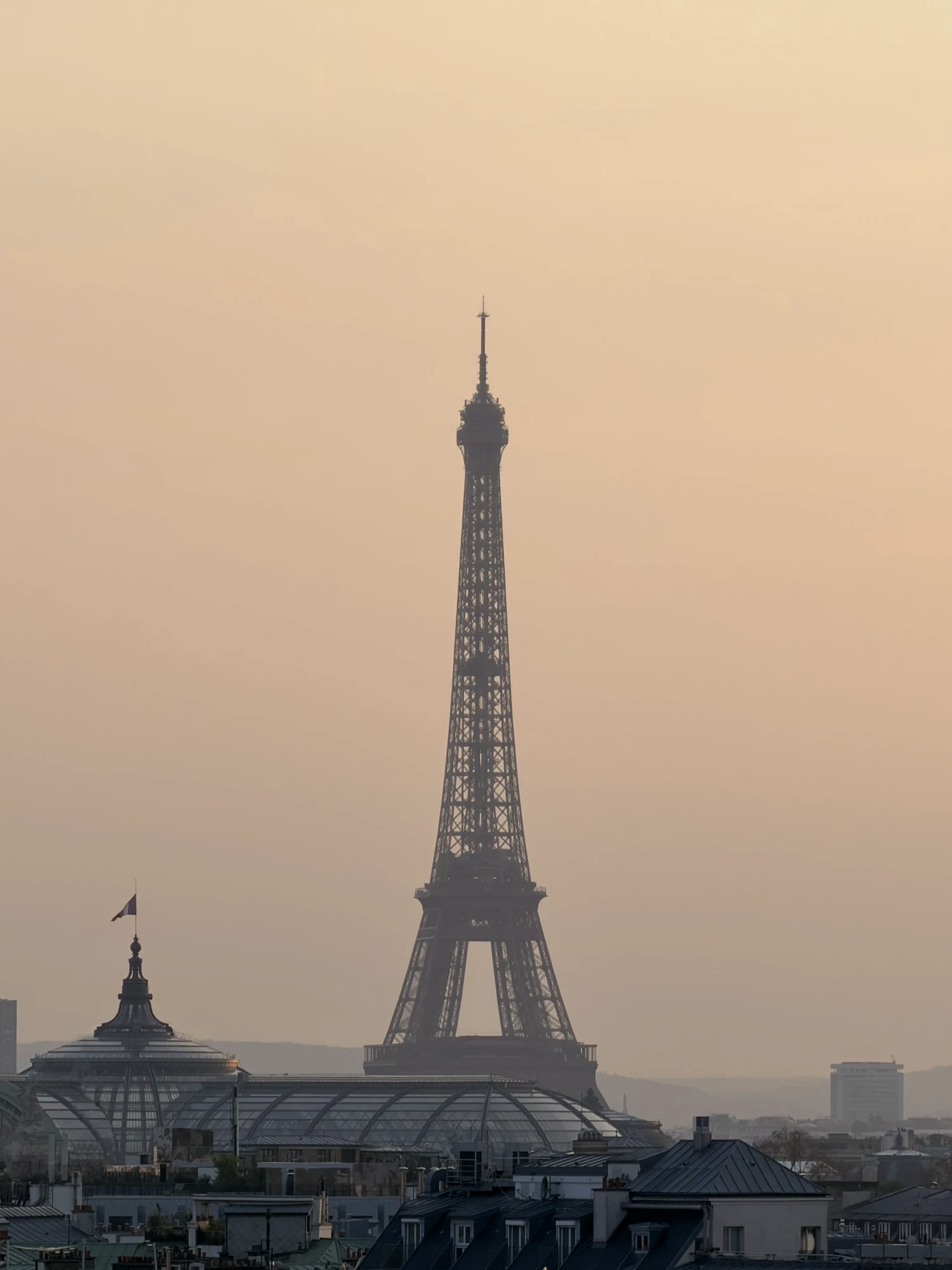 Der Eiffelturm über den Dächern von Paris im goldenen Licht.
